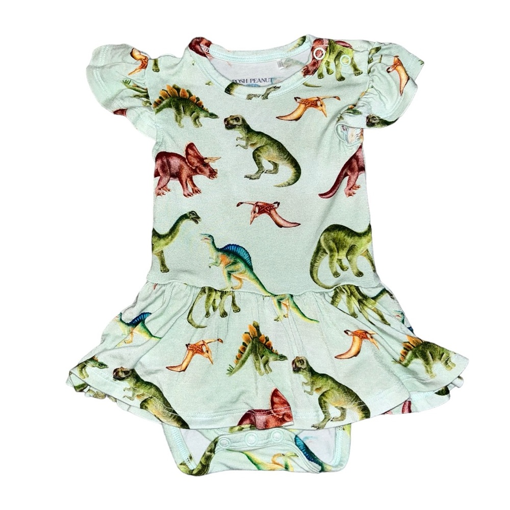 Posh Peanut Mint Dinosaur Print Dress Bodysuit with Multicolor Dinosaurs